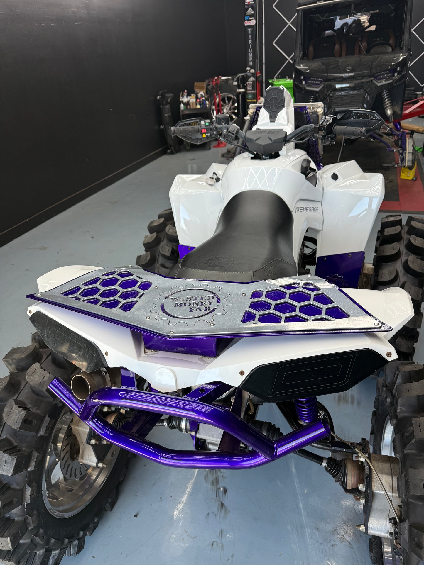 Renegade Rear Rack
