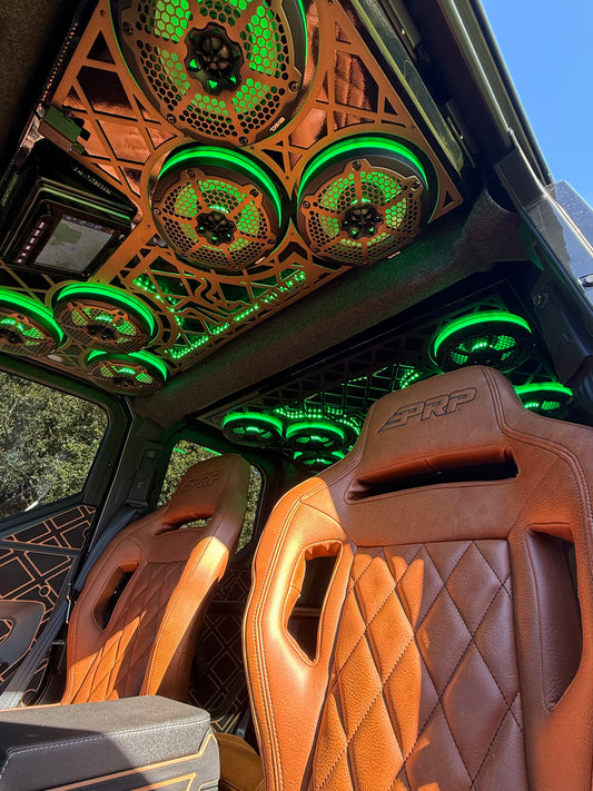 Polaris Expedition Audio Roof